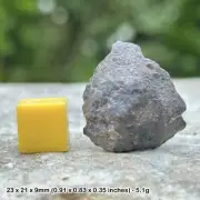 L4/5 Common Chondrite Meteorite with Fusion Crust - Certified North African