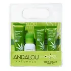 On The Go Essentials CannaCell Uplifting Routine 4 Count By Andalou Naturals