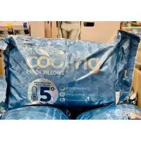 在飛比找蝦皮購物優惠-💗七小福💗 ALLEREASE 美國涼感纖維枕頭單入（337