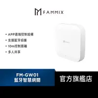 在飛比找蝦皮商城優惠-【FAMMIX 菲米斯】FM-GW01 遠端控制藍牙智慧網關