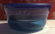New Tupperware Sheerly Elegant Illusions Medium Bowl: Blue-Green