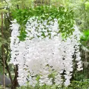 24× Artificial Wisteria Vine Hanging Flower 3.6 Ft Wedding Garden Colorful USA