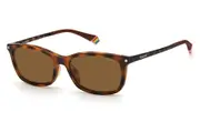 POLAROID-PLD 6140/CS-86-5315-SUNGLASSES