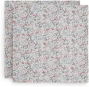 Jollein 535-852-65348 Muslin Cloths Bloom Green Mint Pack of 2 115 x 115 cm