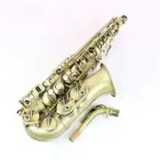 Brand New Buffet Crampon Model 400 Professional Alto Saxophone With Case