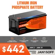 12V 200Ah Lithium LiFePO4 Iron Phosphate Battery BMS Rechargeable Camping 4WD