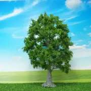 Create Stunning Garden Party and Home Scenery Displays with Green Model Trees