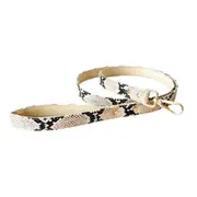 Luxury Snake Printed Dog Leash And Collar
