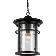Trans Globe Lighting 40385-BK Avalon Outdoor Pendant or Chandeller Black