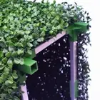 Artificial Boxwood Hedge UV Resistant 25cm High 100cm Long Privacy Screen