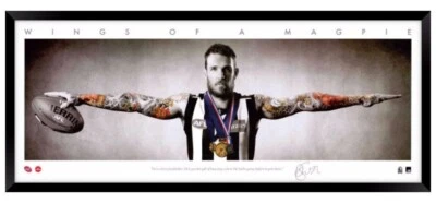 Dane Swan Mini Wings Collingwood Magpies FC Official AFL Framed Print
