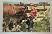 Young Boy with Horse & Colt Vintage Postcard - Can't Wait 'Til You're Big Enough