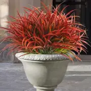 6 Bundles Artificial Outdoor Plants UV Resistant Fake Grass Plants Faux