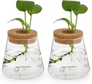 ABOOFAN Plant Propagation Jars Plant Terrarium 2pcs Glass Vase with Cork Planter Station Hydroponic Vases Desktop Air Planter for Growing Hydroponic Plants Table Centerpirce