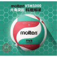 在飛比找蝦皮商城精選優惠-正版排球V300W FIVB指定用球 Molten v5m5
