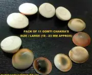 UNTREATED LUCKY GOMTI CHAKRA NATURAL GEMSTONES OF GOMATI RIVER LORD KRISHNA RARE