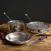 All-Clad Stainless Steel 5-Piece Cookware Set