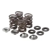 Valve Spring Kit~2008 Polaris Sportsman 800 EFI HO