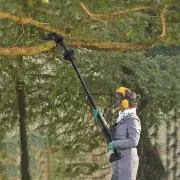 Cordless Chainsaw Extension Pole Chain Saw Battery Powered Tree Pruning Saw 21V