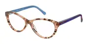 Radley RDO 6021 172 Men's Glasses Tortoiseshell Size 53 - Private Health Rebate - Blue Light Block Available