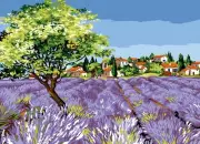 Canvas SEG OL Olivier Village