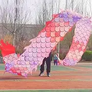 MIXXON Colorful Dragon Poi Ribbon Dancer, Extra Long Dance Ribbon, 3D Dragon Poi Kite for Various Uses Like Gymnastics, Exercise, Park Play,B,8m(26.2ft)