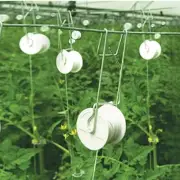 Tomato Trellis Rollerhook Weather-resistant Increases Air Flow For Cucumbers
