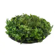 Tropical Green Artificial Vertical Garden Disc 80cm (White or Black Frame)