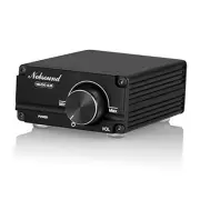 NS-03G Subwoofer Amplifier 100W Mini Sub Power Amp (Black)
