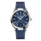 OMEGA Seamaster Aqua Terra Co-Axial Master 220.12.41.21.03.007