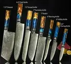 Knife Set Chef Cleaver Santoku Boning Damascus Steel VG10 Core Resin Wood Handle