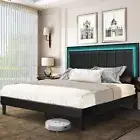 Bed Frame Double Size RGB LED Lights Headboard Platform Mattress Base Black PU