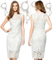 Tadashi Shoji Corded Embroidered Lace Tulle Illusion Boat Neck Silver Dress
