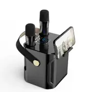 Wireless Dual Microphone Professional Karaoke Handheld Bluetooth Speaker 360