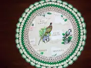 New Handmade Round Crochet Doily--S. Dakota/Ring-Neck Pheasant&Pasqueflower #216