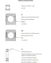 Bearing SKF 6219/C3