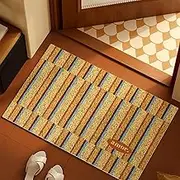 Collive Washable Indoor Doormat, Non Slip Floor Mat Area Rug Quick Absorbent Entrance Rug Distressed Front Door Mat, Welcome Mats Entryway Rug Doormats(Beige,50x120cm)
