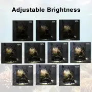 Mini LED Aquarium Lamp with Rotatable Hose for Customized Lighting Effects