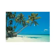 Tropical Beach Backdrop, Party Decor, Surf, Beach, Pool, Shark, Summer, 3 Pieces