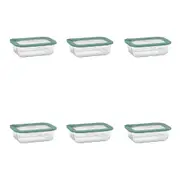 6PK Ecology Store Rectangle Clear Glass Food Storage Container 640ml Eucalyptus