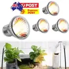Heat Emitter Heating Lamp Bulb Light Heater For Chicken Pet Reptile UVA+UVB
