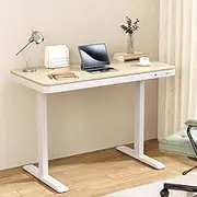 Standing Desk Motorised Electric Dual Motor Draw 120CM Oak Adjustable Height