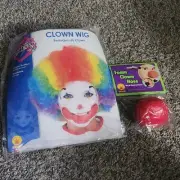 Clown Wig With Foam Nose