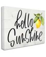 Stupell Industries Hello Sunshine Expression Soft Country Lemon Branch Stretched Canvas Wall Art by Valerie Wieners