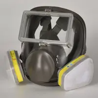 在飛比找蝦皮商城精選優惠-噴漆專用防毒面具玻璃面罩可清洗防毒化工氣體甲醛異味防毒全面[