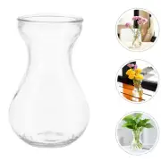 5Pcs Simple Hyacinth Containers Glass Planter Hydroponics Vase Planter Glass