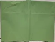 Peva Vinyl Kitchen Tablecloth 52" x 52" Square (4 people) LIGHT GREEN COLOR, BH