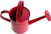 Gogogmee Garden Watering Can Durable Iron Metal Sprinkler Pot for Indoor Plants Flower Beds Mini Design for Engagement Sturdy Friendly Watering Bucket