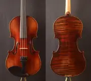 1/2Size! Best Model! A T20 Violin Oil antiqu varnish Fine tone
