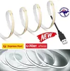 1M COOL WHITE 5V FLEXIBLE COB LED STRIP LIGHT 320 LED/M WITH USB CONNECTION LEAD